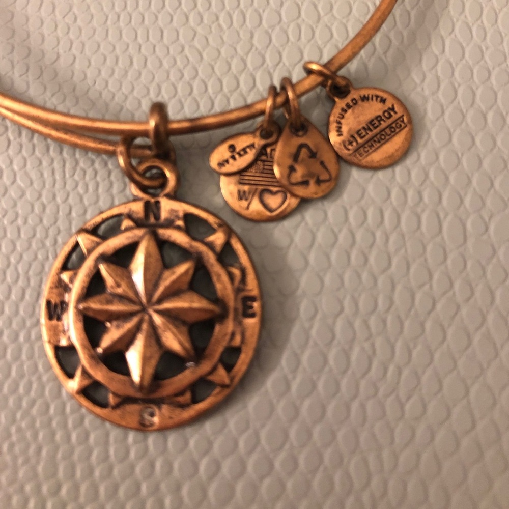 Alex and Ani Compass Adjustable Gold Bangle - Picture 2 of 4